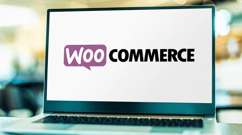 WooCommerce Development Services Noida